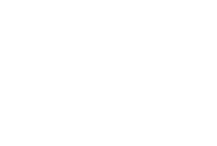 INTEGRACION DIAGNOSTICA