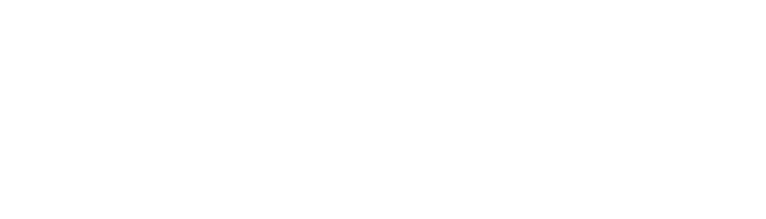 emermedica